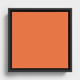 Tangerine Framed Canvas