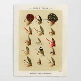 Illustrated Trout Fishing Flies Chart from Favorite Flies and Their Histories  Poster
