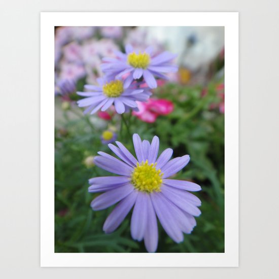 Daisy Art Print