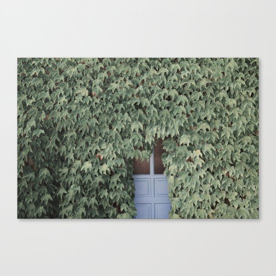 Hidden doors Canvas Print