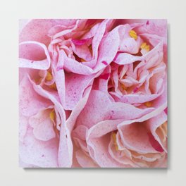 Strawberry Blonde Camellia Metal Print | Flowers, Bouquet, Macro, Strawberryblonde, Floatingpetals, Floral, Digital, Petal, Strawberry, Bloom 