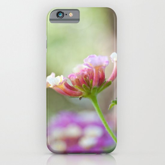 Lantana iPhone & iPod Case