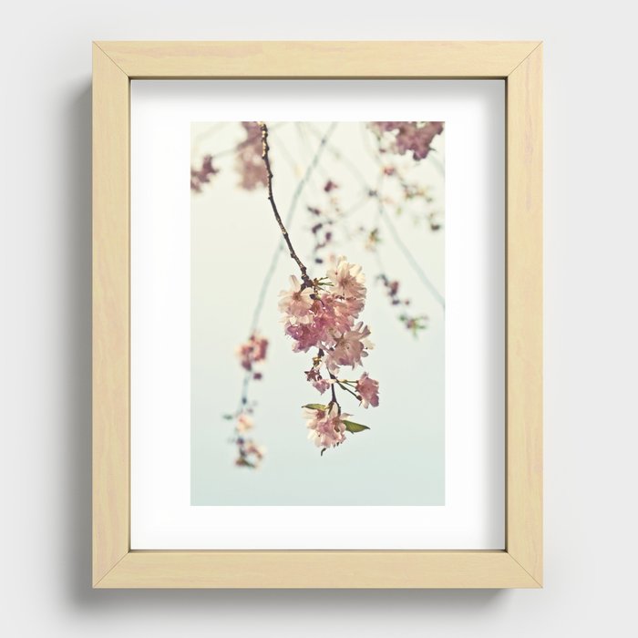 Spring Blossom  Recessed Framed Print