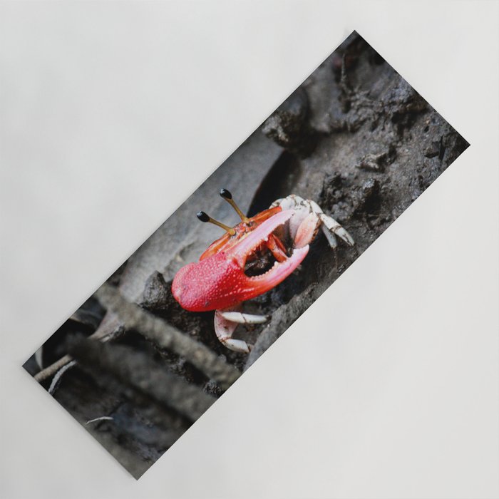 Mr Fiddler Crab Yoga Mat