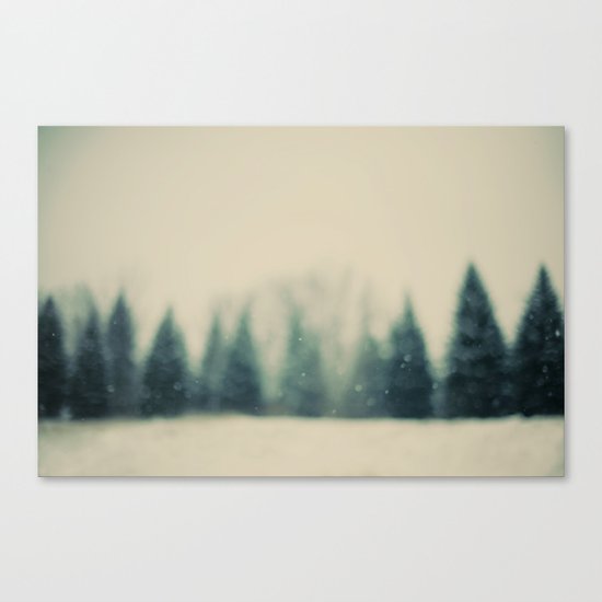 Frost and Fir Canvas Print
