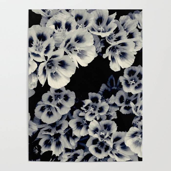 Black And White Flowers by Lika Ramati Poster