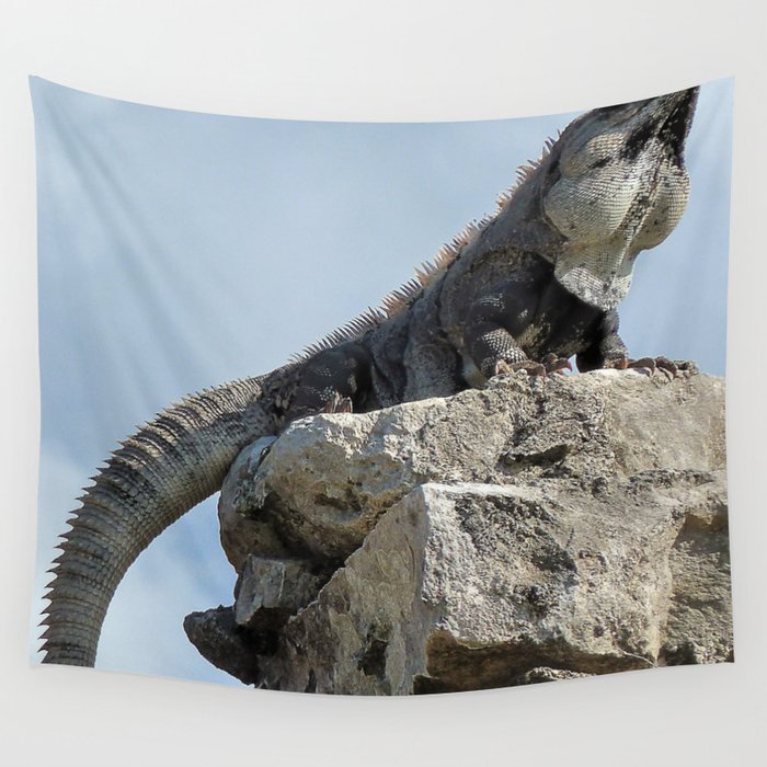 Mexico Photography - Majestic Iguana Standing On Rocks Wall Tapestry