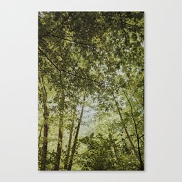 Layers of Greens | Nature Photography in Italy  Canvas Print