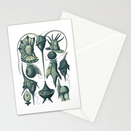 Ernst Haeckel Peridinea Plankton Algae Teal Stationery Card