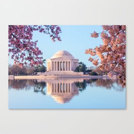 Cherry Blossoms at Jefferson Memorial in Washington DC Canvas Print