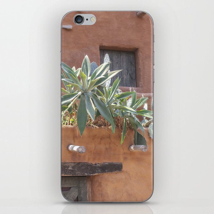 Botanical Mexican cactus on a summer rooftop art print - bohemian nature and travel photography iPhone Skin