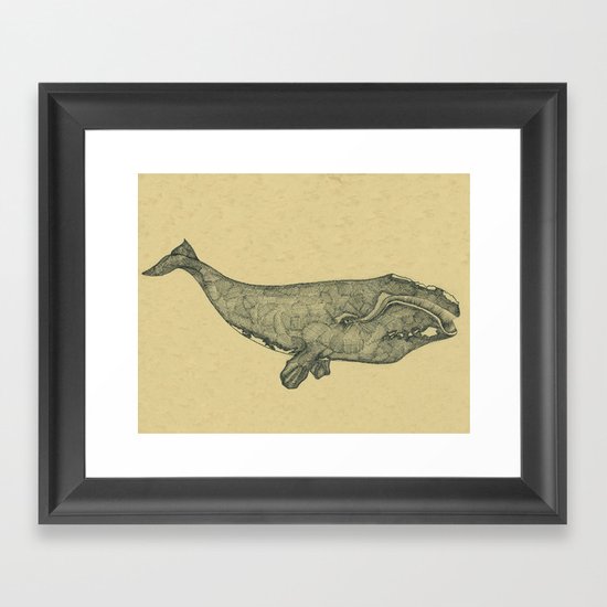 Northern Right Whale Framed Art Print