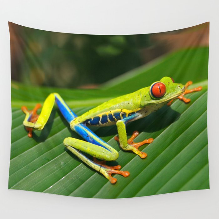 Green Tree Frog Red-Eyed Wall Tapestry
