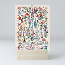 Adolphe Millot - Fleurs pour tous - French vintage poster Mini Art Print