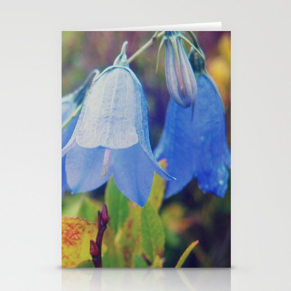 tenderness of nature Stationery Cards