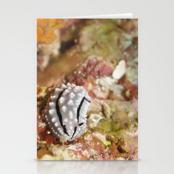 Cute beyond compare Nudi Stationery Cards