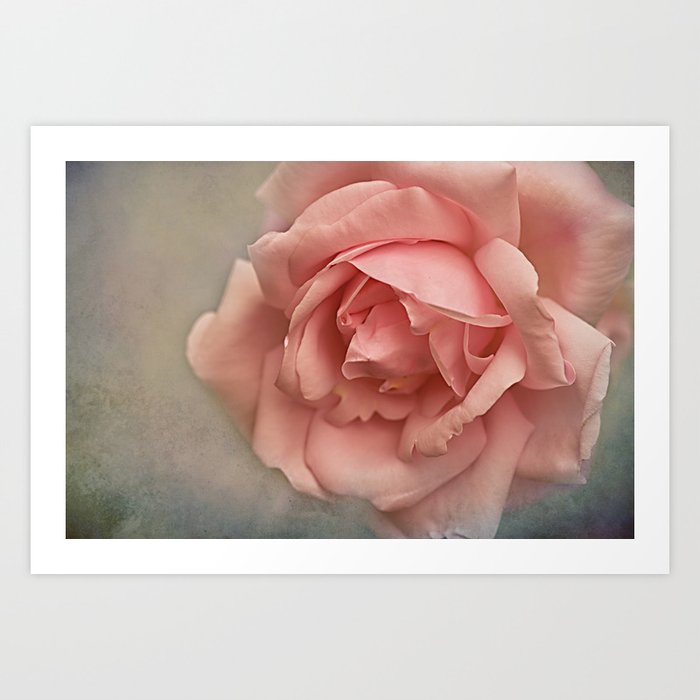 Romantic Rose Art Print