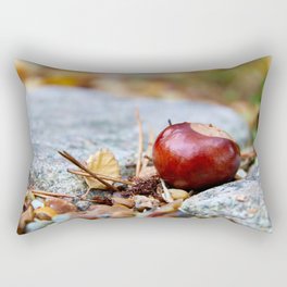 Astonishing Delicious Buckeye Nut Ground Zoom UHD Rectangular Pillow