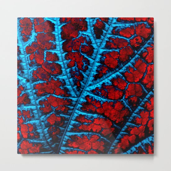 leaf structure abstract VIII Metal Print