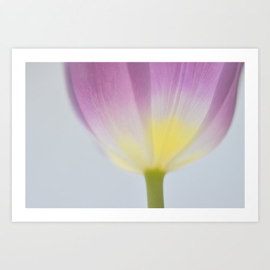 Tulip Dreams Art Print