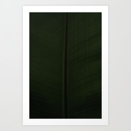 Shady Leaf - Photo Print - Modern Wall Art - Botanical Art Print Art Print