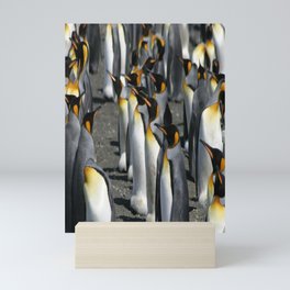 King Penguin Group Standing in a Row Mini Art Print