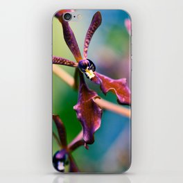 Burgundy Red Orchid Flower iPhone Skin