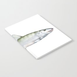 Bonefish Notebook