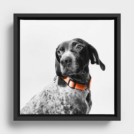 Dog Color Desolation Framed Canvas