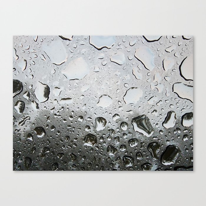 After the rain Canvas Print