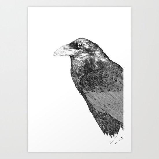 Corvus Corax Art Print