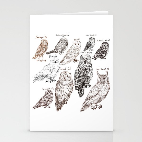 owls Stationery Cards