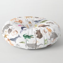 Animal Alphabet Floor Pillow