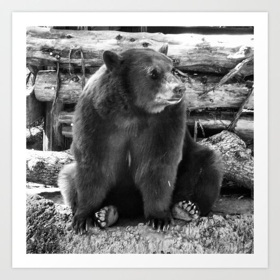 Bear Art Print