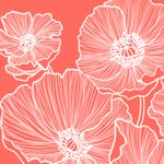 Color Obsession