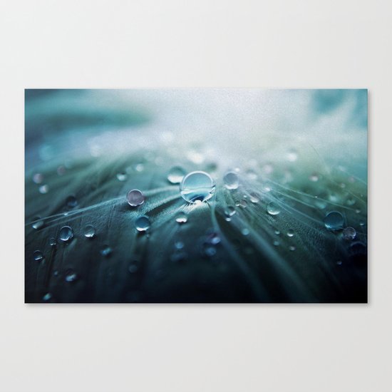 Rain drop Canvas Print