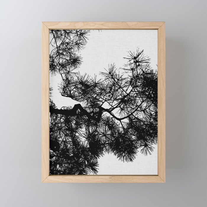 Pine Tree Black & White Framed Mini Art Print