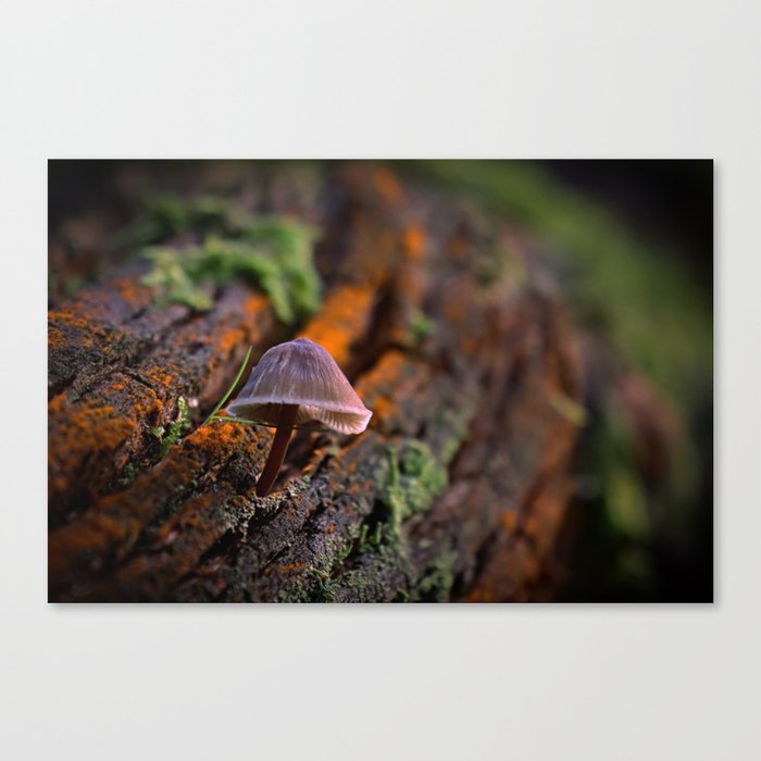 everything starts small Canvas Print
