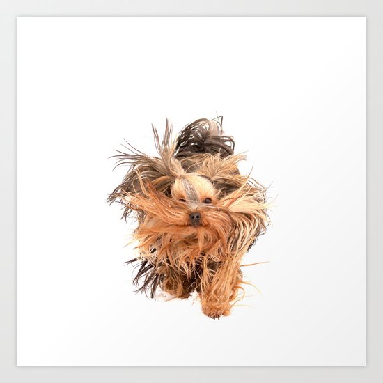 Come Here Baby! Art Print