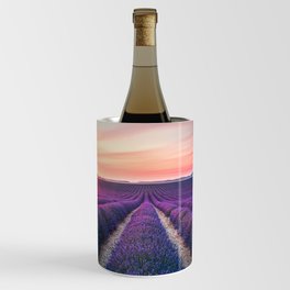 Lavender flower field, endless rows at sunset. Provence Wine Chiller