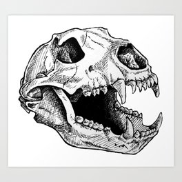 Bear skull Art Print