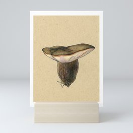 Common Mushroom - Inktober 2019 #5 Mini Art Print | Woodland, Colored Pencil, Videogames, Ink Pen, Woods, Mushrooms, Botanical, Gardening, Stardewvalley, Game 