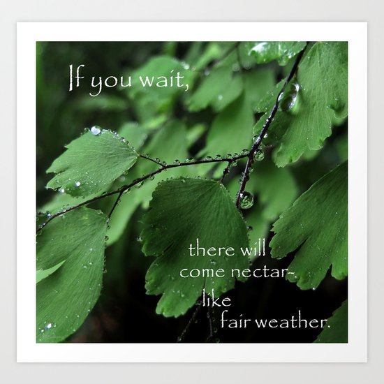 Nature's Patience Art Print