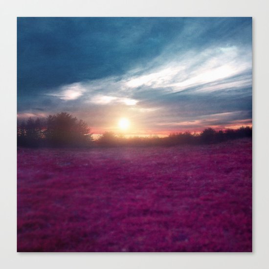 Sunset I C. Canvas Print