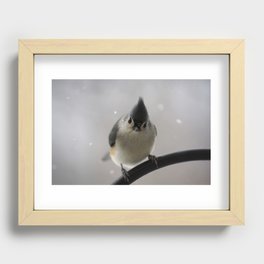 Snowy Tufted Titmouse Recessed Framed Print