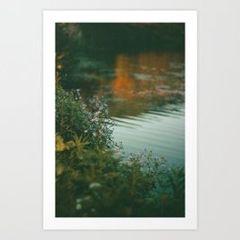 On Dreams I'm Moving Through Heavy Water Art Print | Color, Wildflower, Pond, Calming, Orange, Verticallandscape, Colors, Softgrunge, Newengland, Fall 