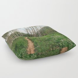 Aspen Trail Hike, Utah Floor Pillow