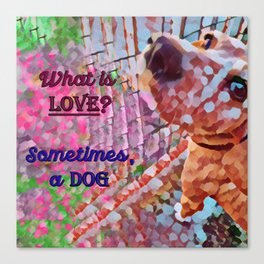 What is love? Sometimes a dog - good vibes with your pet Canvas Print