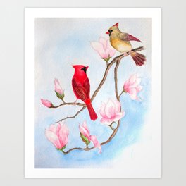 Cardinal Pair with Magnolias - Watercolor Painting Art Print