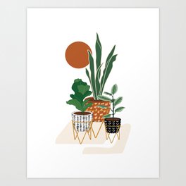 Plants In Planters Art Print